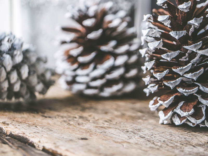 Marcaser - trucos decorativos