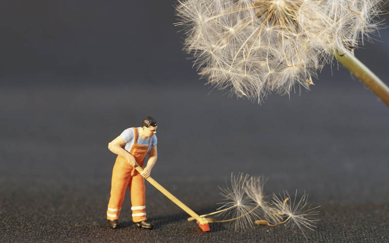 Marcaser - representación limpieza