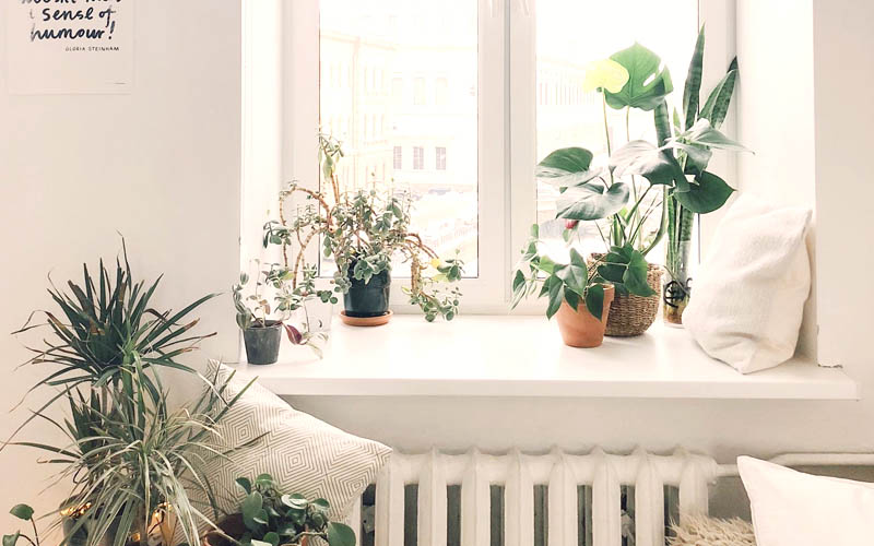 Marcaser - representación verano